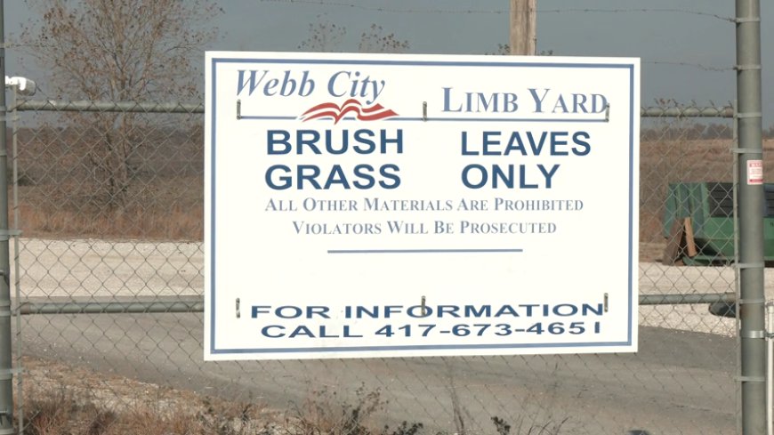 Webb City brush drop-off tightens rules for 2024