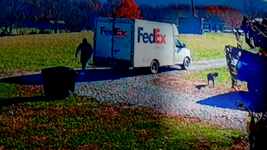 Family seeks answers after dog run over by FedEx truck