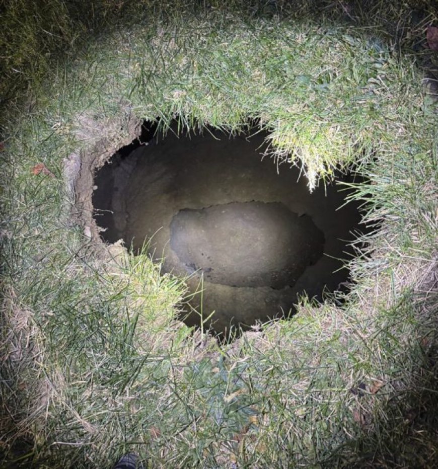 Sinkhole may have swallowed Pennsylvania grandmother looking for missing cat: police