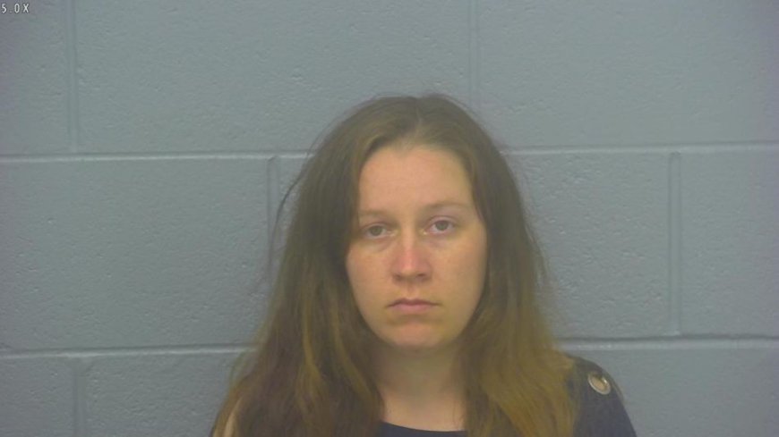 Mom pleads guilty to kidnapping child during supervised visit at Wonders of Wildlife