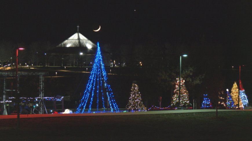 Annual Holiday Tree Trail comes to Mercy Park