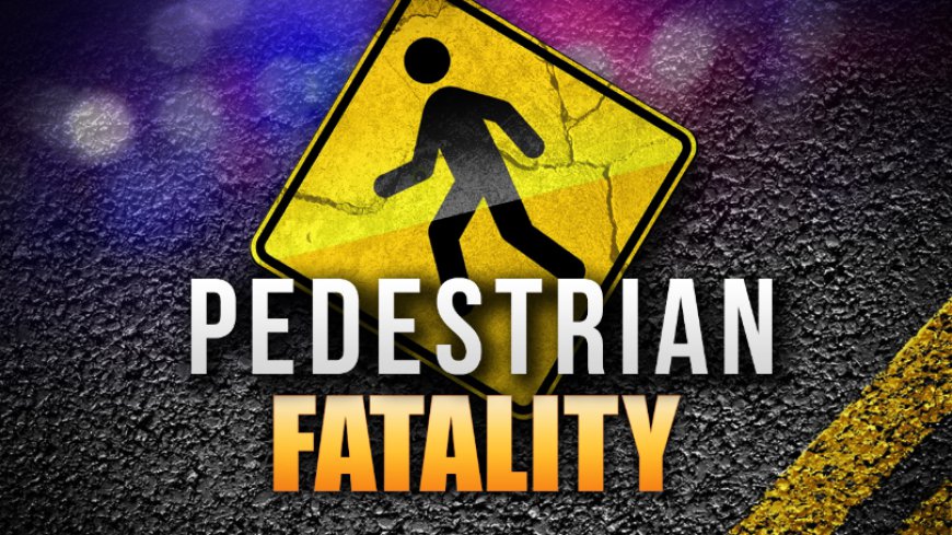 Pedestrian hit by pickup, killed on Missouri 171 in Carterville Friday night