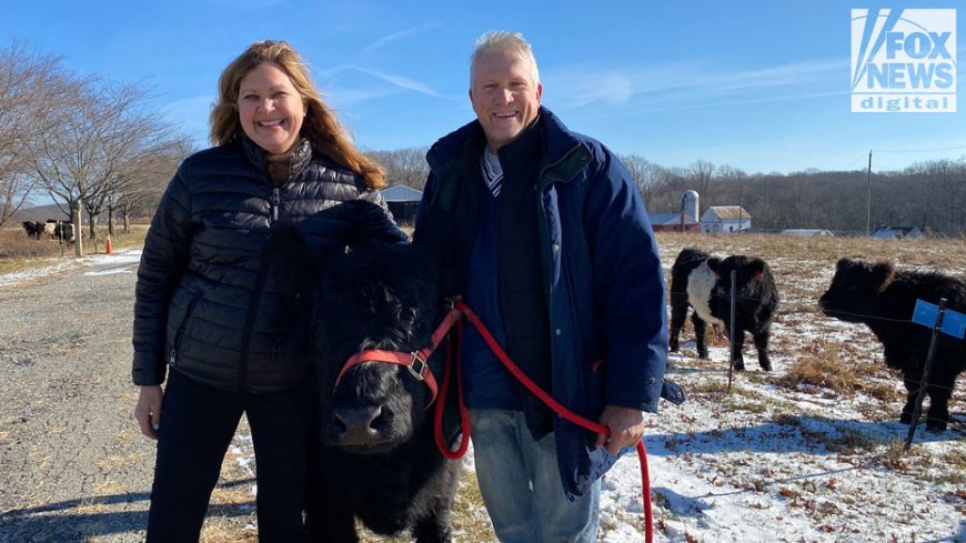 NJ couple describes seeing mysterious aircraft amid bizarre phenomenon: 'We need to know'