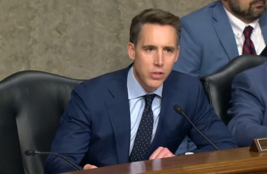 ‘What world do you live in?’: Hawley blasts Democrat plot for ‘mass amnesty’