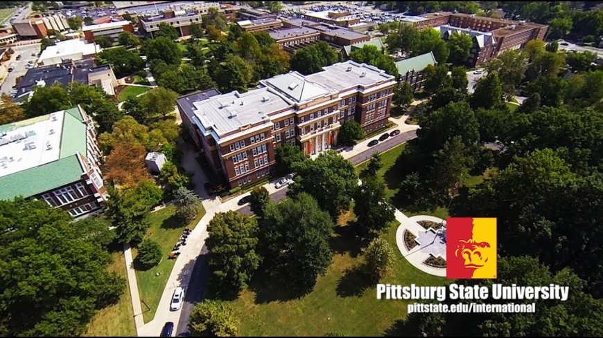 Pitt State research focus: Birds, bats, and forests