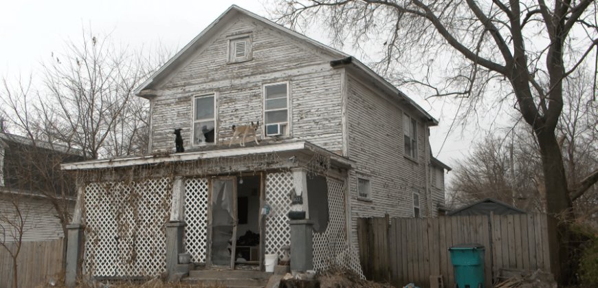 Owner speak out on the dogs seen on roof of Springfield home