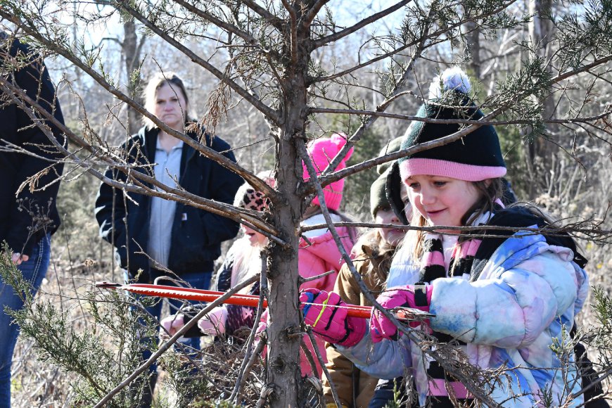 ‘The best day ever’: Chadwick kids savor an old-fashioned Christmas tree hunt