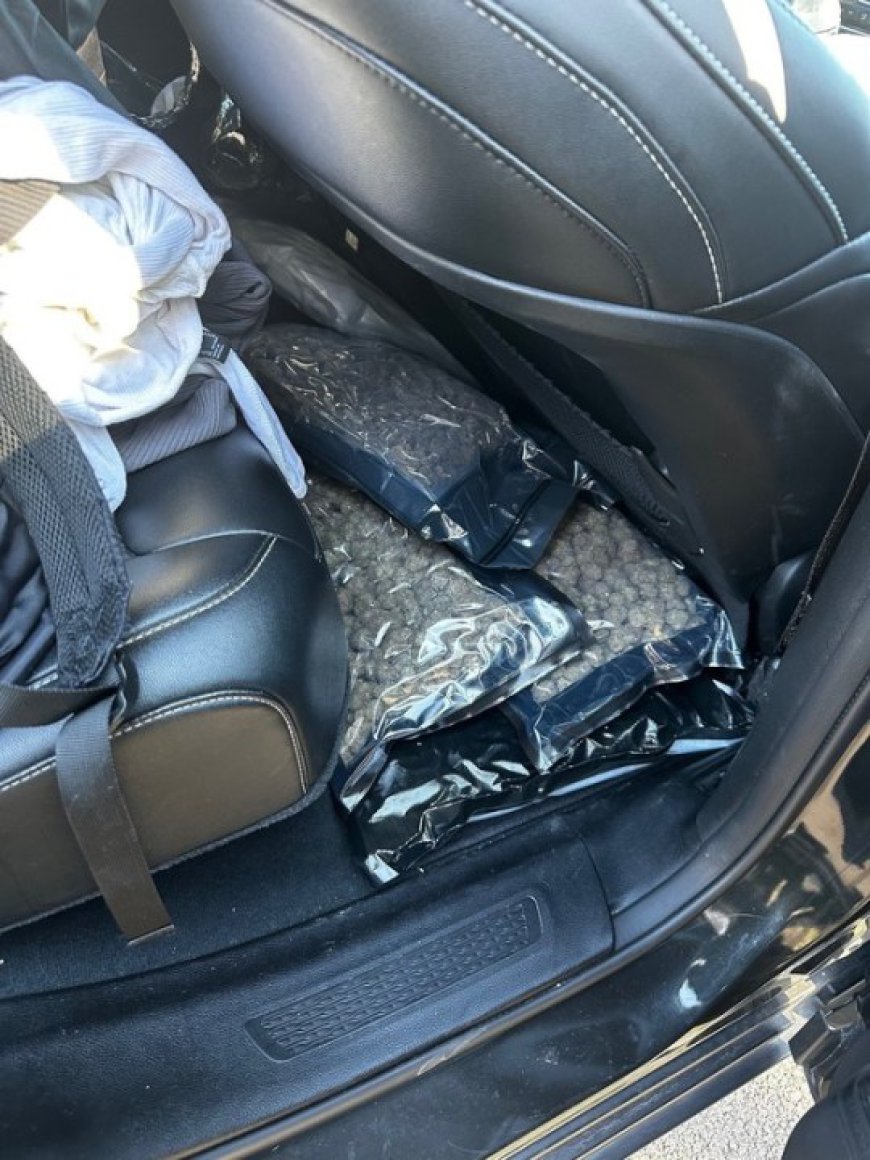 Arkansas troopers find more than 200 pounds of marijuana in two traffic stops