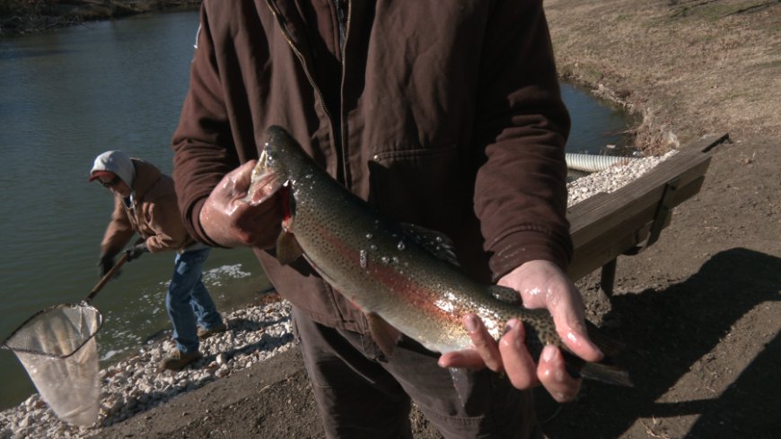 Southeast Kansas lake replenished with nearly 800 trout