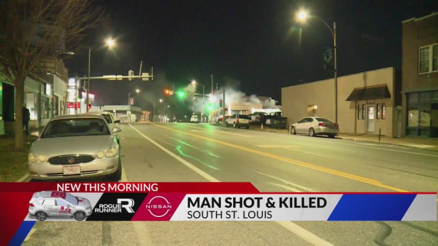 Man shot and killed in south St. Louis