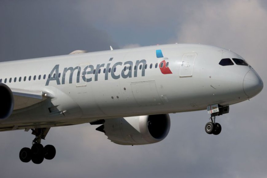 Flight from LaGuardia diverts to JFK after bird strike: American Airlines