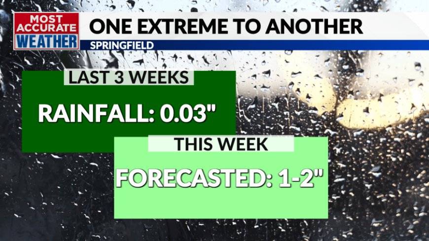 Saturday, December 14 Forecast: Rain to start and end the weekend