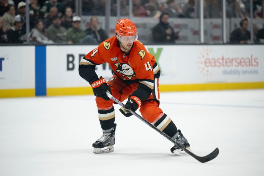 Blues acquire veteran defenseman Cam Fowler from Ducks