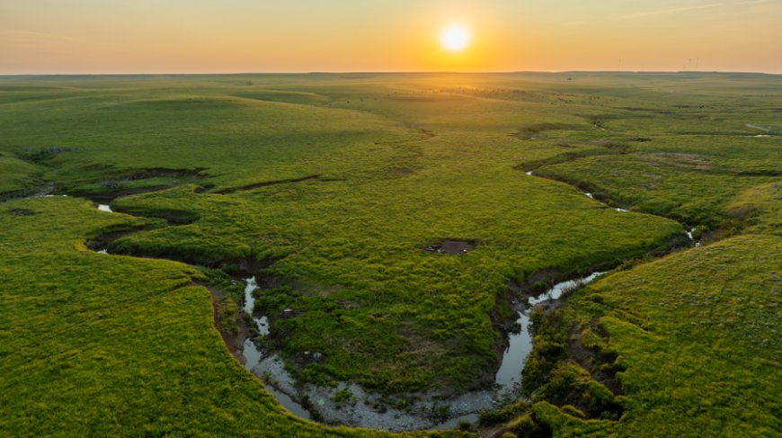 New KS film 'Mysteries of the Tallgrass' set to release in 2025