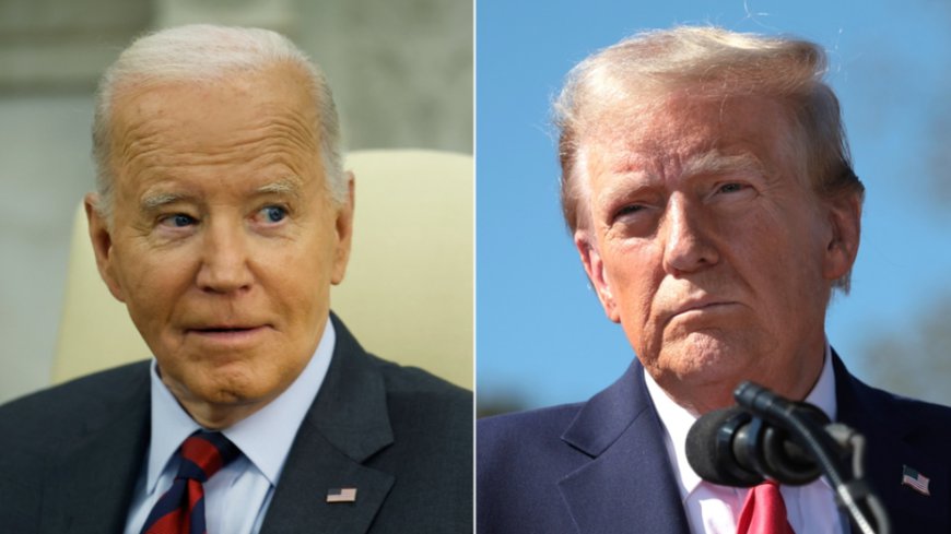 Trump says Biden admin 'knows what is happening' on drones