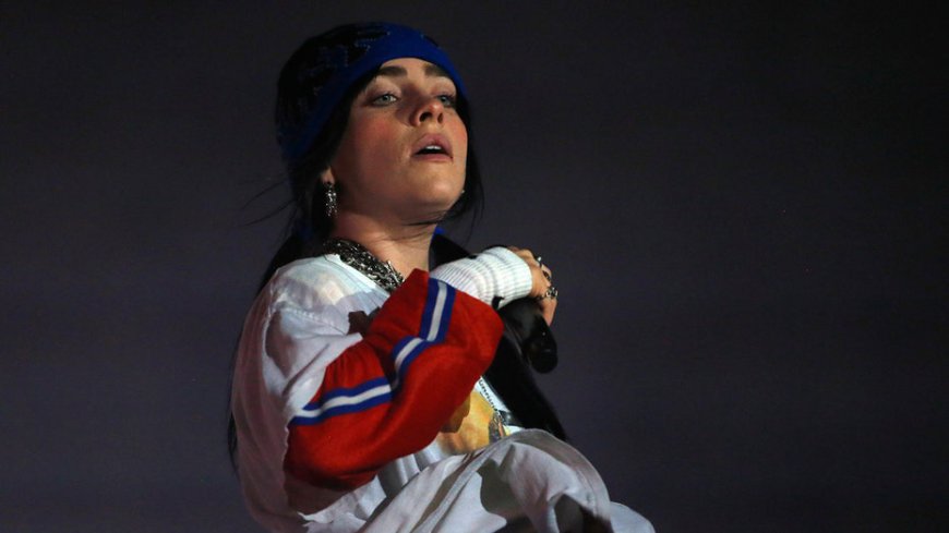 Billie Eilish hit directly in the face by object while performing on tour