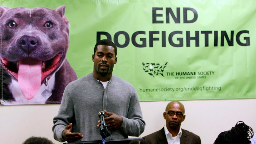 PETA comments on Michael Vick hiring by Norfolk State football team: 'Charming, charismatic psychopath'