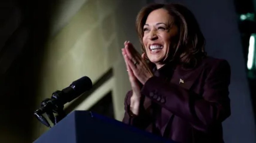 Exclusive: Harris campaign alums launch firm to fix Democratic mistakes from 2024 and lead a ‘new generation’ of operatives