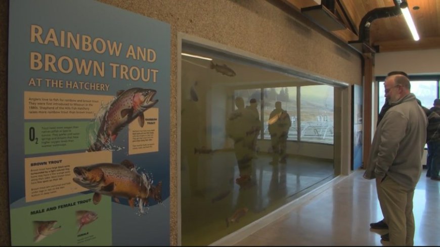 Renovated trout hatchery re-opens in Branson after nearly 2 years