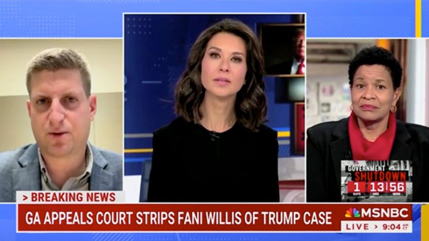 Fani Willis' reputation 'damaged' after disqualification from Trump case: Georgia reporter