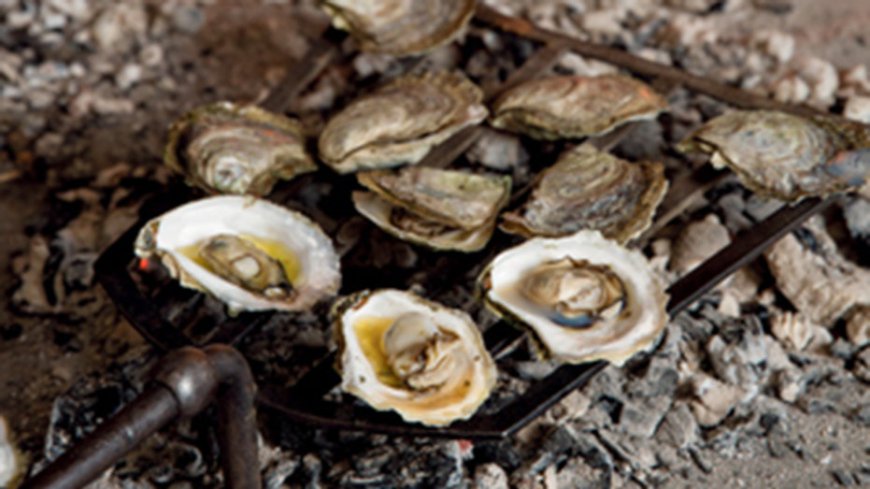 Christmas means oyster roasts in this Southern state: 'Beloved delicacy'