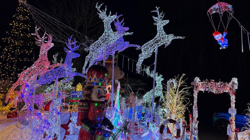 Visitors flock to winter wonderland light display in honor of family's late son