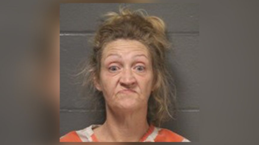 Osage Beach woman arrested after allegedly kidnapping child