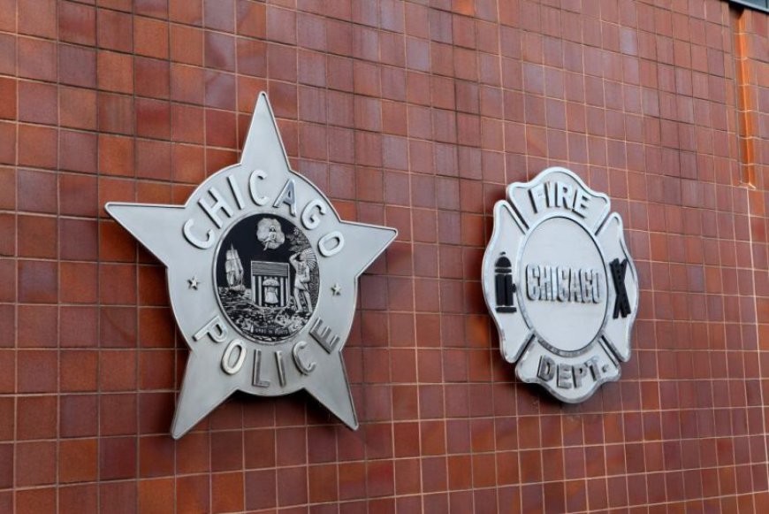 Chicago Fire Dept. employees overpower man attempting to rob them: police