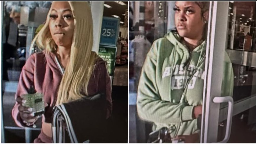 Manchester PD asks for help locating shoplifting suspects