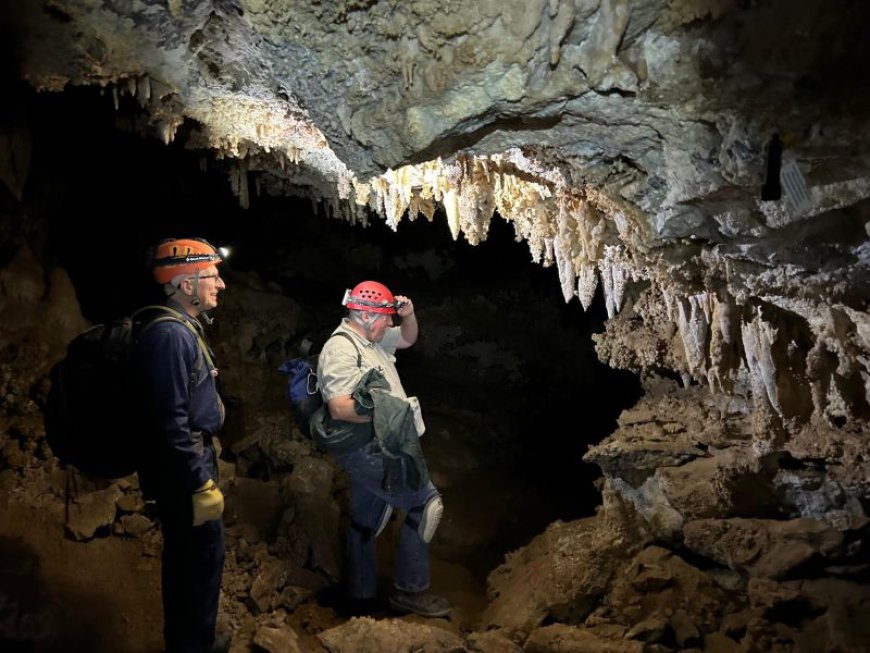 26,000-year-old Ice Age fox recovered in Utah cave