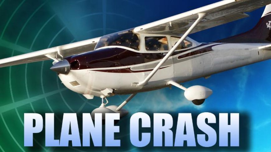 Plane crashes in southeast Kansas; pilot suffers suspected serious injuries