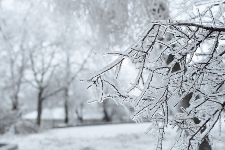 St. Louis Area Snow & Ice Forecast