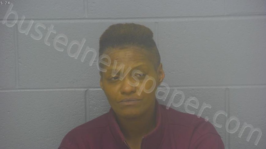 Watson, Ranisha Allene Mugshot | 2025-01-09 19:10:00 Greene County, Missouri Arrest