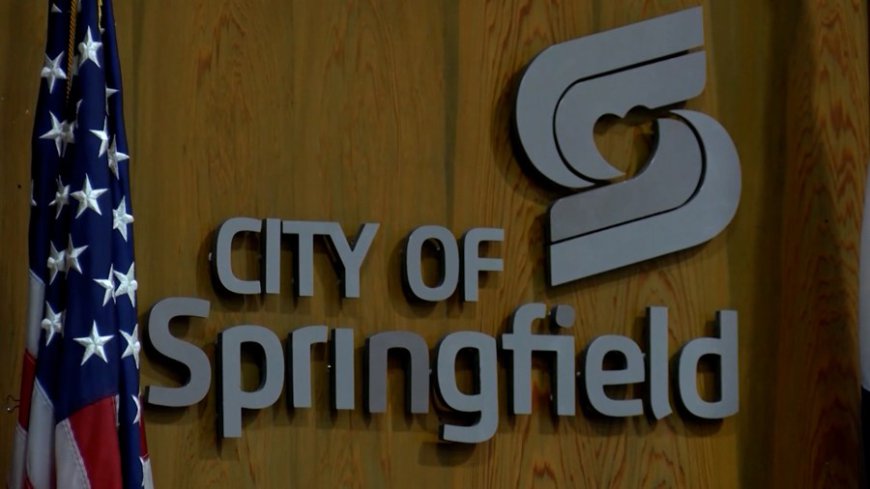 Springfield City Council votes to create Citizens' Advisory Board