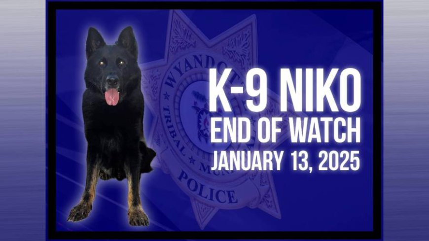 Wyandotte K-9 laid to rest after distinguished career