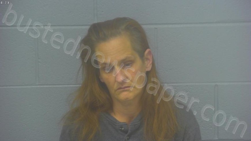 Childers, Christina Holly Mugshot | 2025-01-16 16:26:00 Greene County, Missouri Arrest