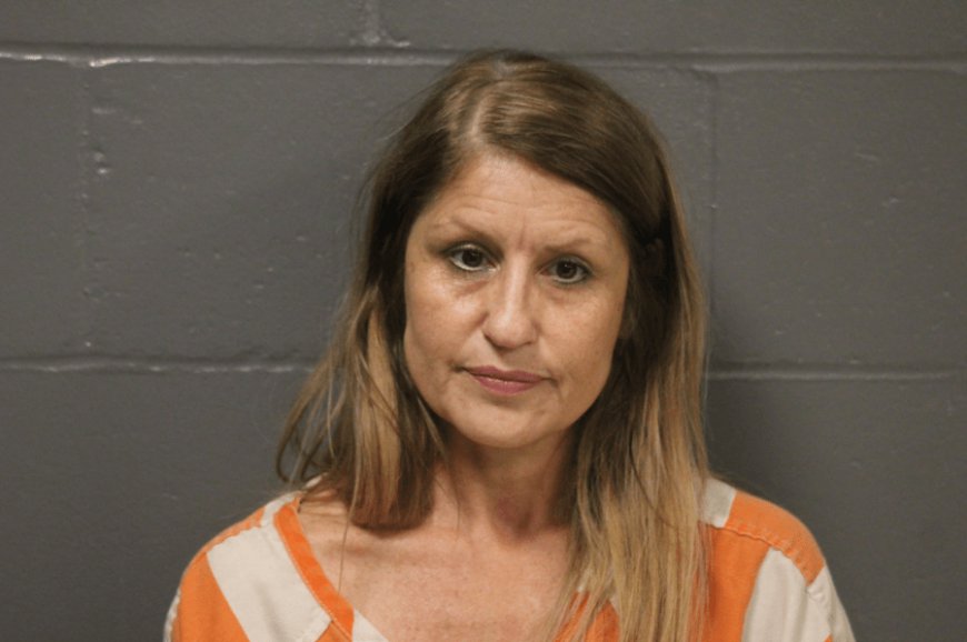 Camdenton woman arrested for drug-related crimes