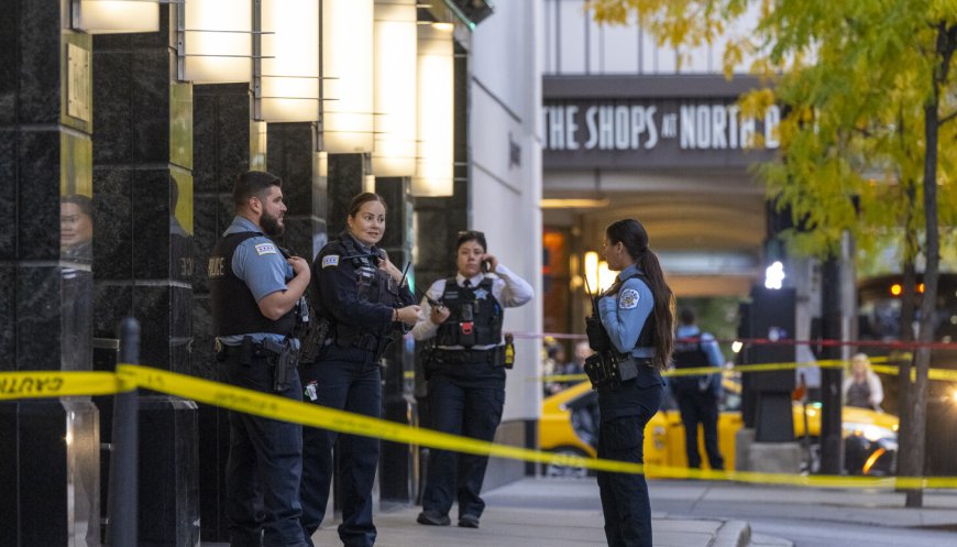 Unprovoked killings in downtown Chicago show a need for more mental health resources
