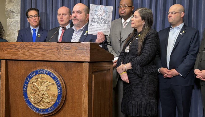 Hate crimes on rise in Illinois, with more than half related to white supremacist propaganda, report says