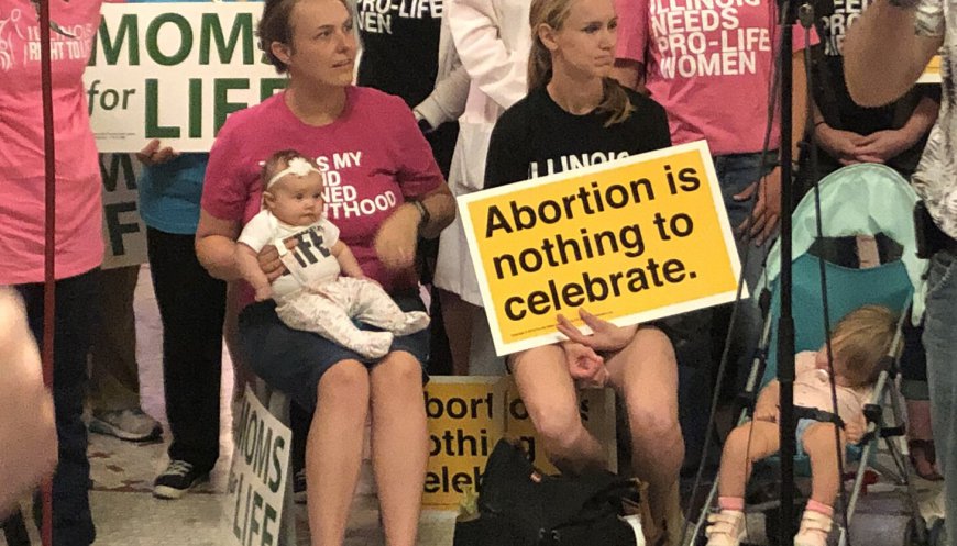 Federal judge rules part of Illinois 'right of conscience' abortion law is unconstitutional