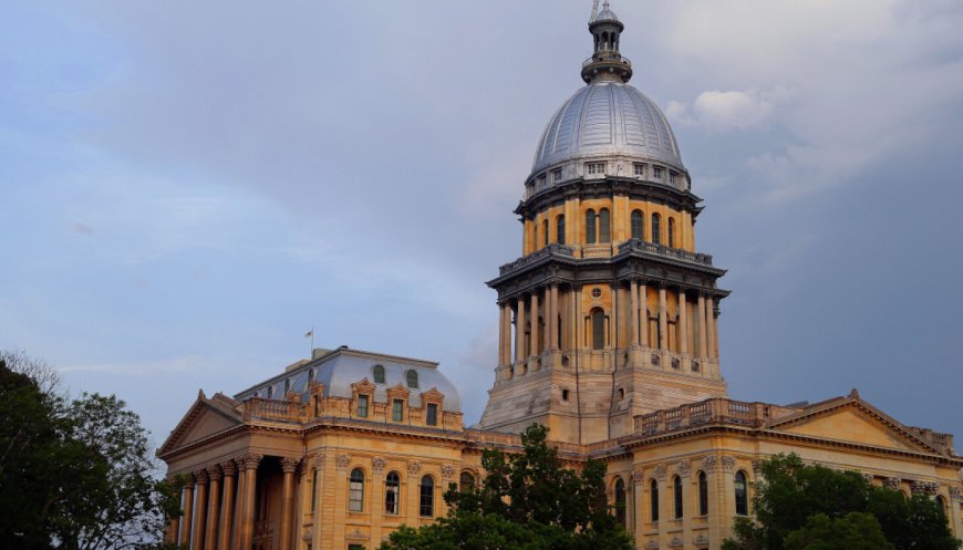As liability insurance runs out, crisis looms for private foster care agencies in Illinois