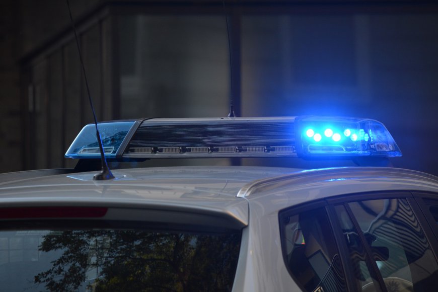 Motorcyclist dies after crashing into downed tree in roadway