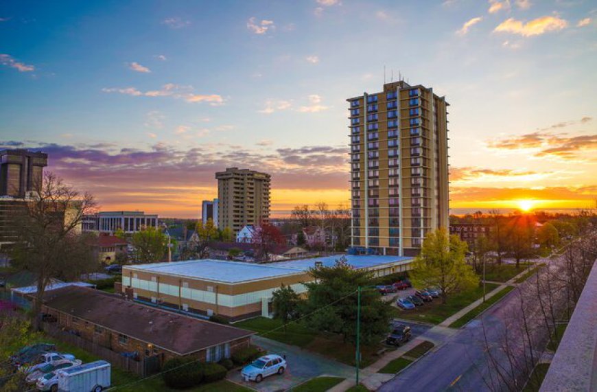 Explore Springfield: Top attractions and must-try restaurants