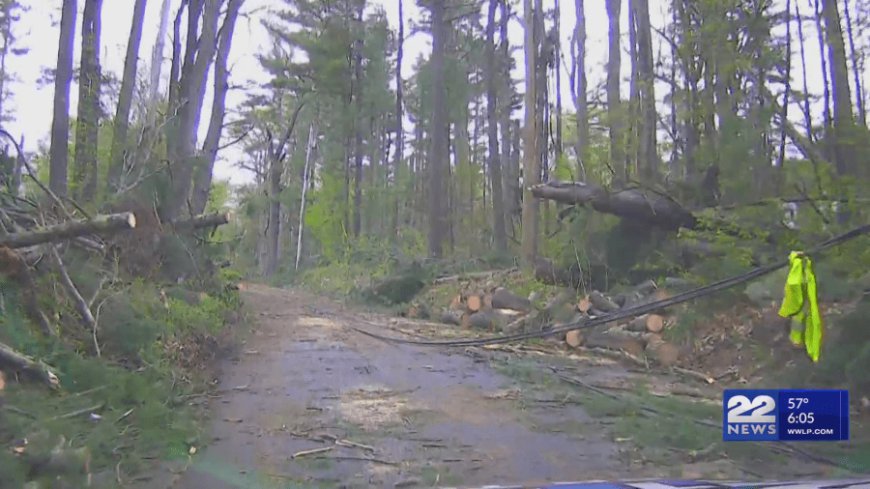 Weekend storms causes damage across western Mass.