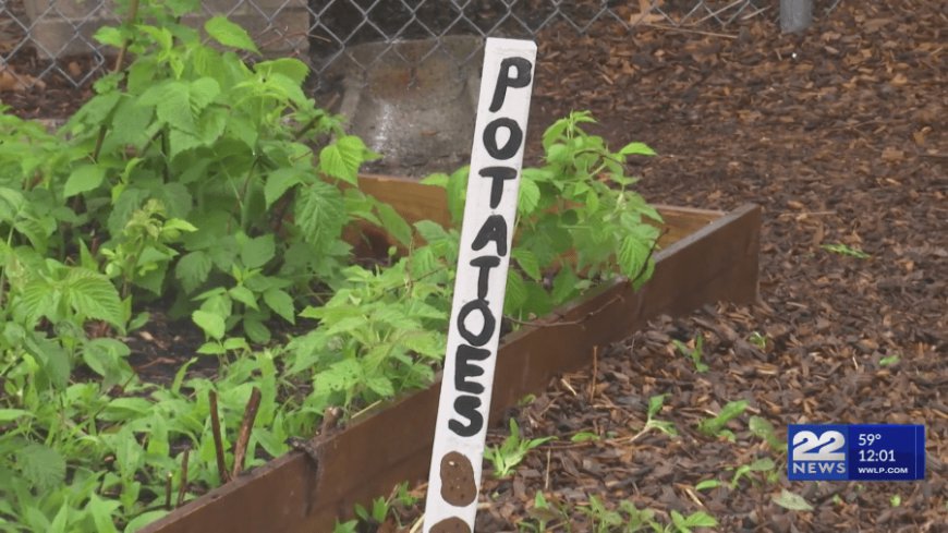 MGM Springfield helps improve elementary school garden