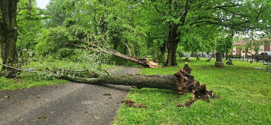 Pokin Around: Last week’s storm hit Maple Park Cemetery hard; at least 20 trees down