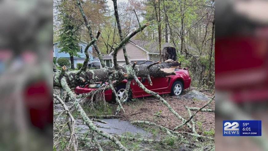 Most power restored in Ware following storm, businesses up and running