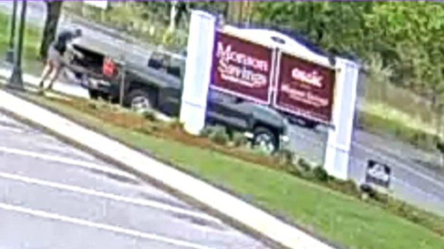Hampden Police seek help identifying suspect who stole tree outside Monson Savings Bank