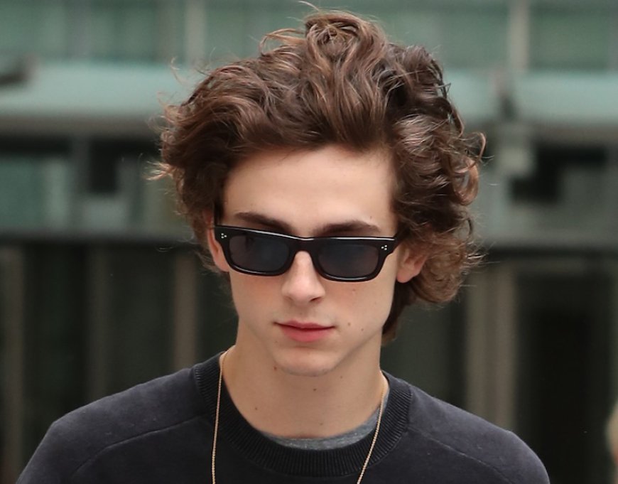 Timothée Chalamet Rumored To Play Secret Bob Dylan Set At Glastonbury