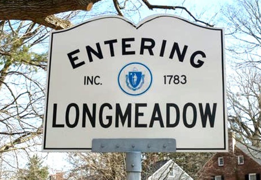 Results: Longmeadow Select Board preliminary election